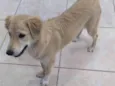 Lola