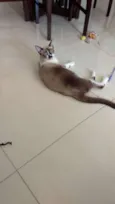 Benito