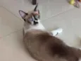Benito