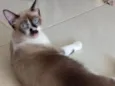 Benito