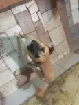 Bebê