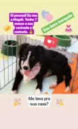 Magali