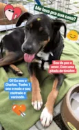 Charles 