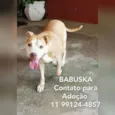 Babuska