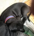 Tuka