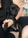 Tuka
