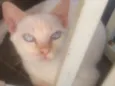 Oliver