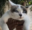 AGATHA