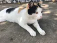 FILOMENA