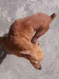 Peter