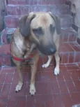 Penelope