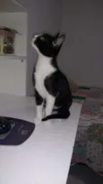 Cindi