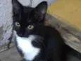 bubu
