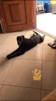 Pelé
