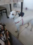Linda
