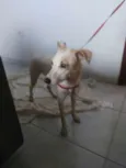 Linda