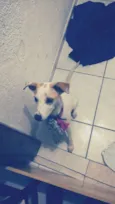 Linda