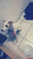 Linda