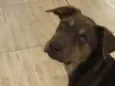 Frida