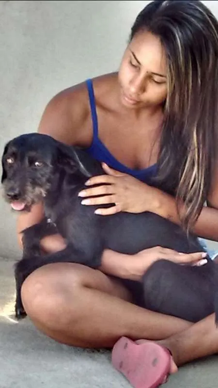 Cachorro raça vira lata idade 4 anos nome Dory