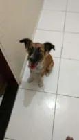 Bob