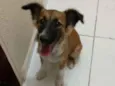 Bob