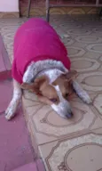 menina
