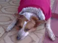 menina