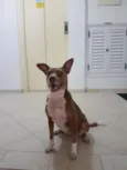 Pitt