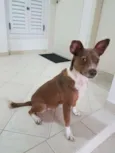 Pitt