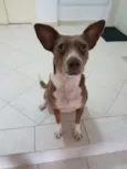 Pitt