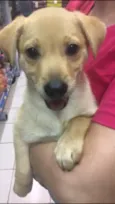 Simba