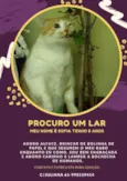 Pandinha