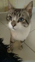 Derik