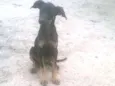 Lua
