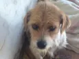 Stan