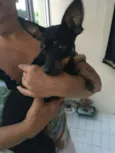 Pequena