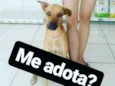Marley CASTRADO