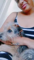 Aika