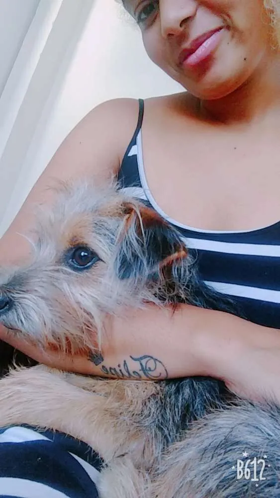 Cachorro ra a Vira lata idade 7 a 11 meses nome Aika