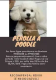 Pérolla