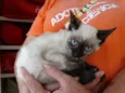 Tina