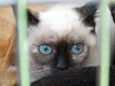 Tina
