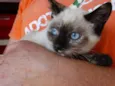 Tina