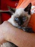 Tina