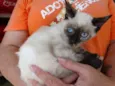 Tina