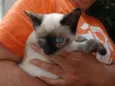 Tina