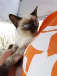 Tina