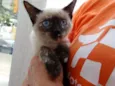 Tina