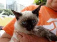 Tina